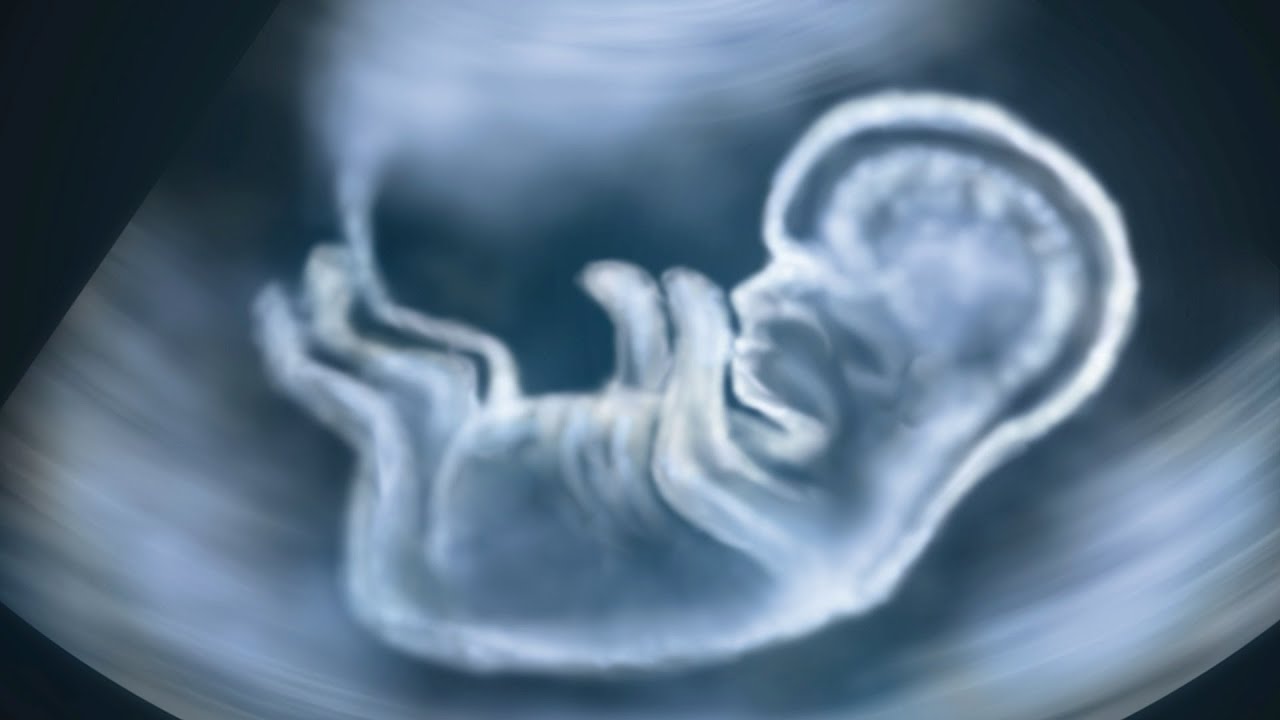 Intrauterine Insemination (IUI) | Infertility