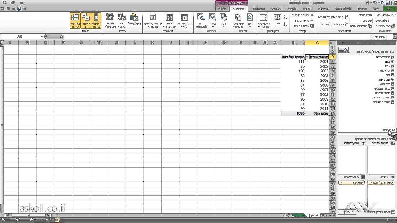 אקסל - EXCEL | 33 - שימוש מתקדם בטבלאות ציר