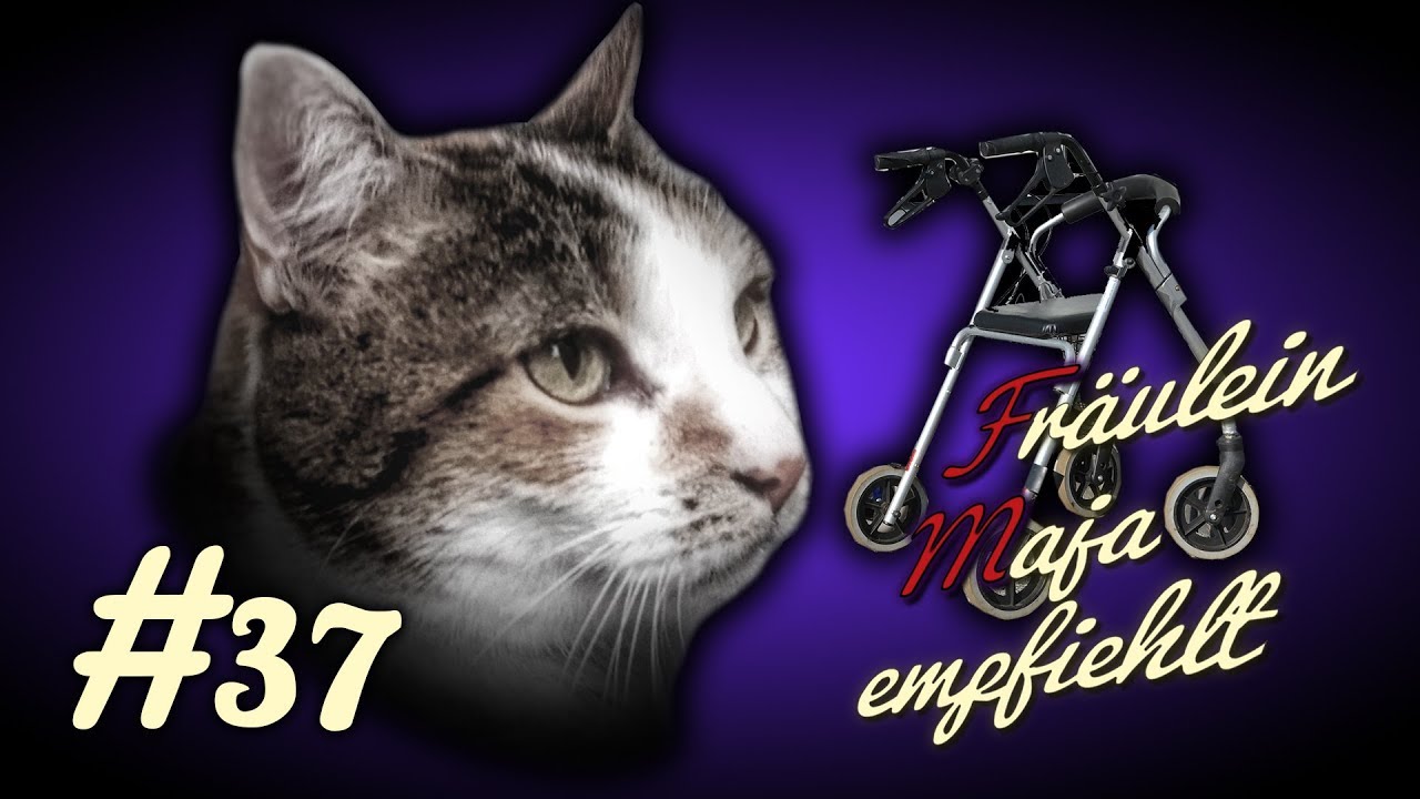 Alte Katzen-How to-Pflege betagter Katzen-3 einfache Tipps. Fr&auml;ulein Maja empfiehlt Teil 37