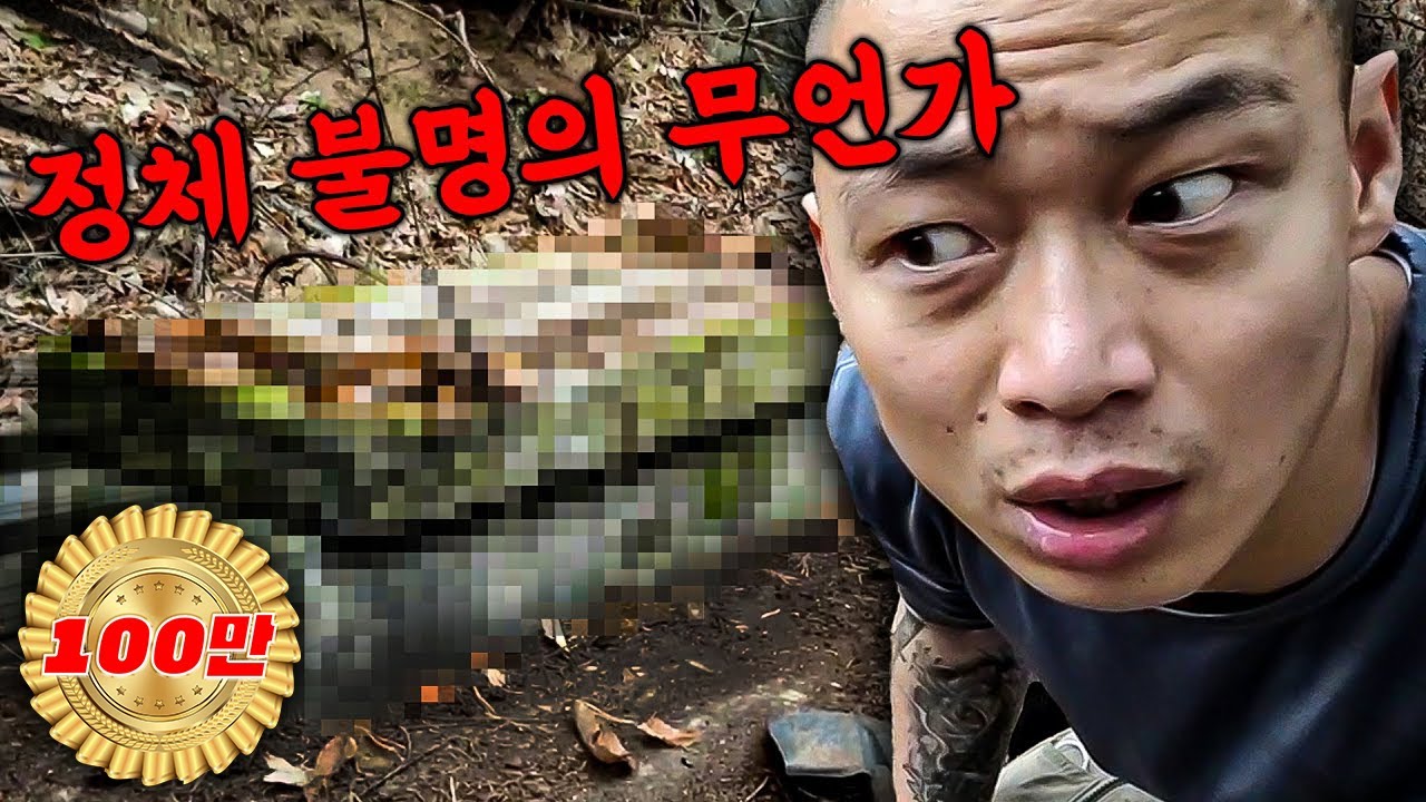 6.25 전쟁 [학도병] 옛날 학교 뒷산 금속탐지기를 해보았습니다(이건 뭐지?) [Eng Sub]