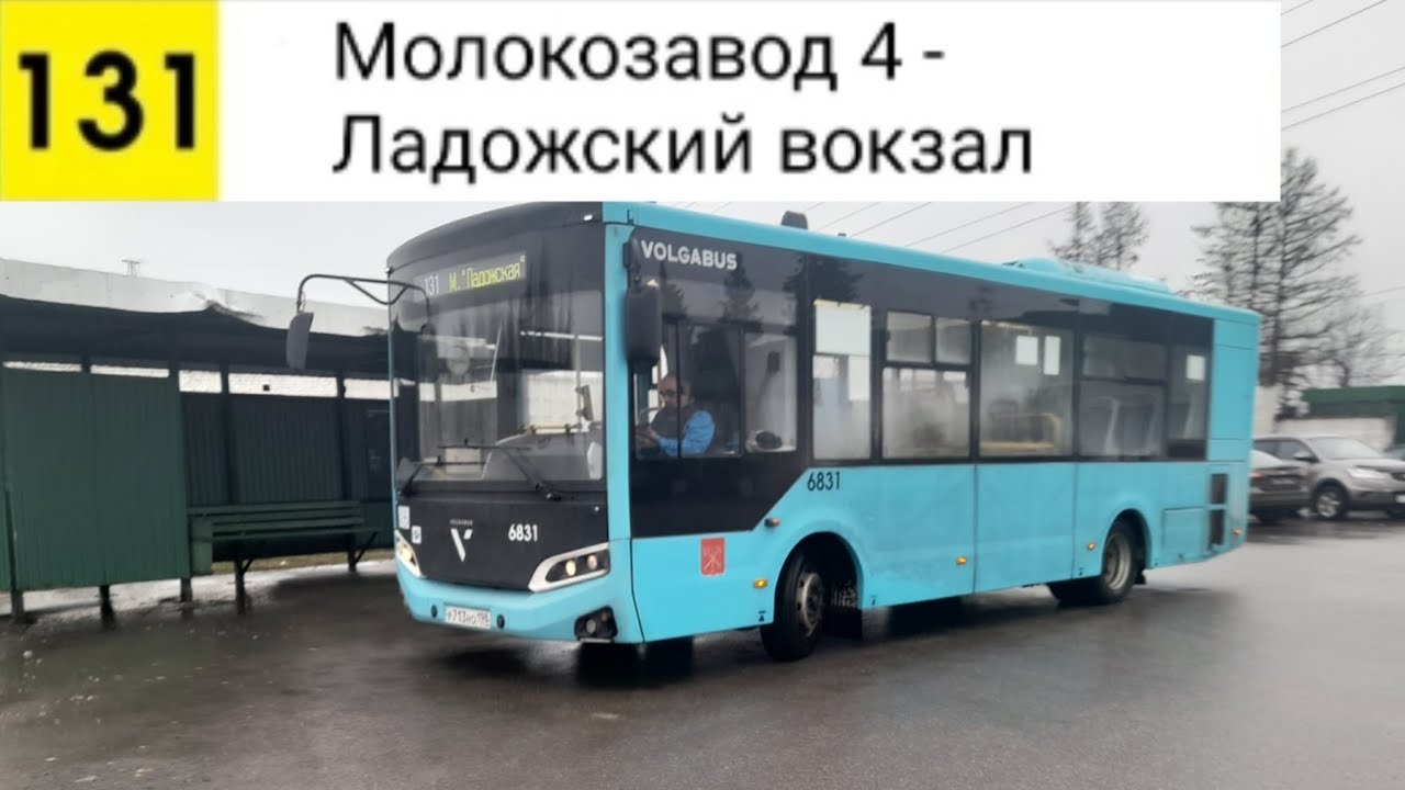 Автобус 131. Молокозавод - Ладожский вокзал