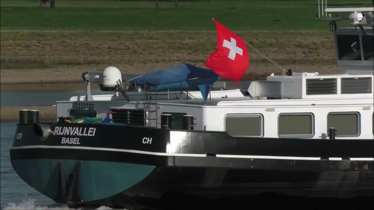 Schiff Rijnvallei auf dem Rhein in Düsseldorf