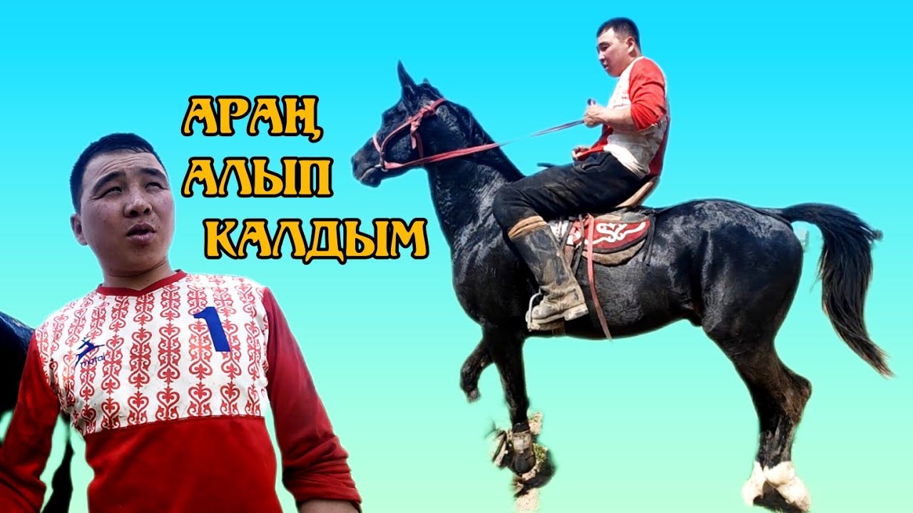 Ушул аргымак оюнда сатылып кетти.