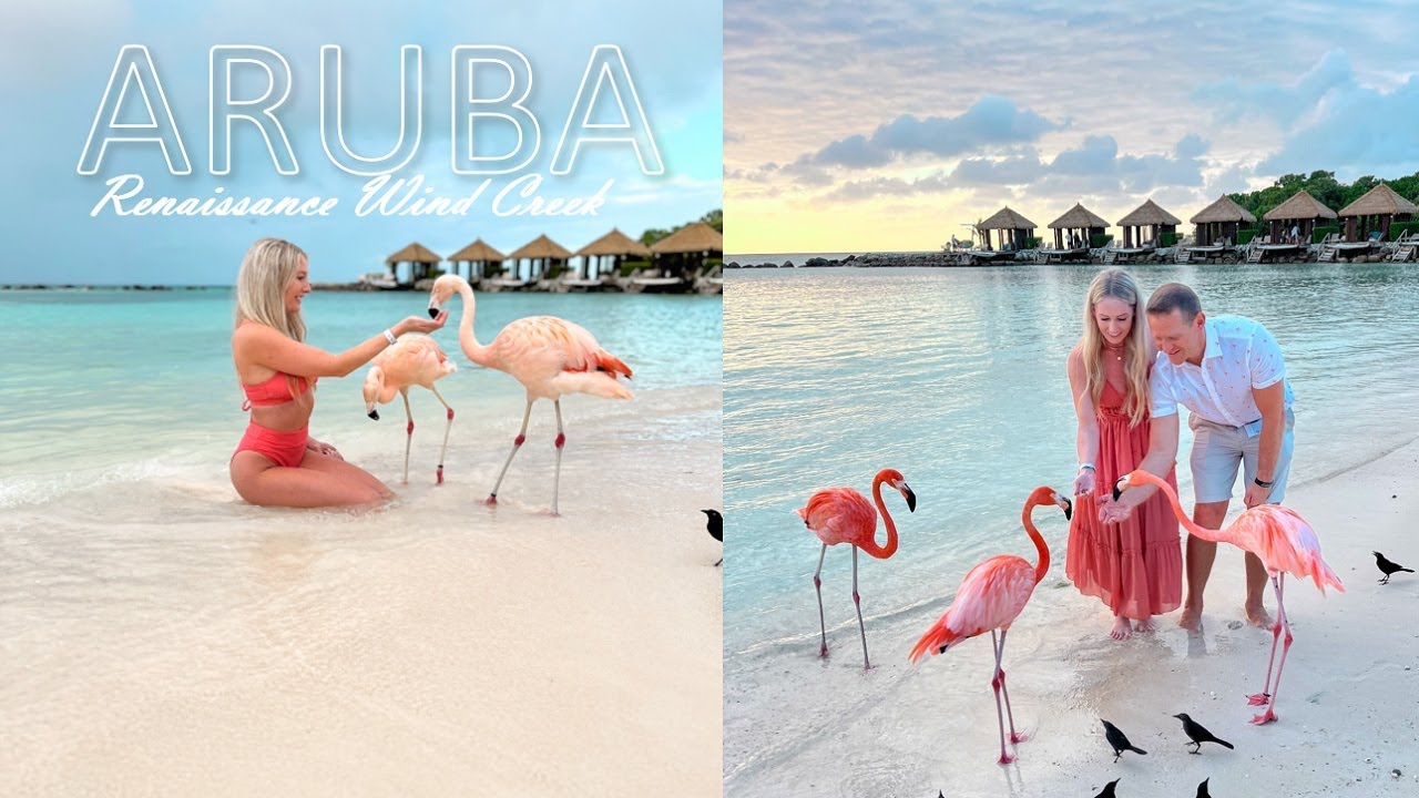 Aruba Travel Vlog Part 1 - Renaissance Wind Creek - Flamingo Island