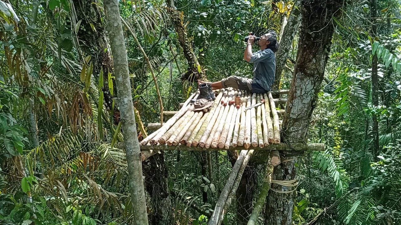Heavy Rain in Sulawesi Rain Forest, Build Comfortable Shelters in the Trees, Bushcraft Camp