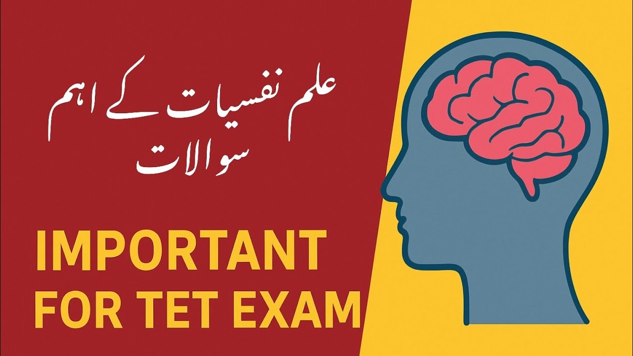  TET 2025 🔥 علمِ نفسیات کے اہم معروضی سوالات | Psychology MCQs for TET | Urdu Medium 📚✨ Must Watch!