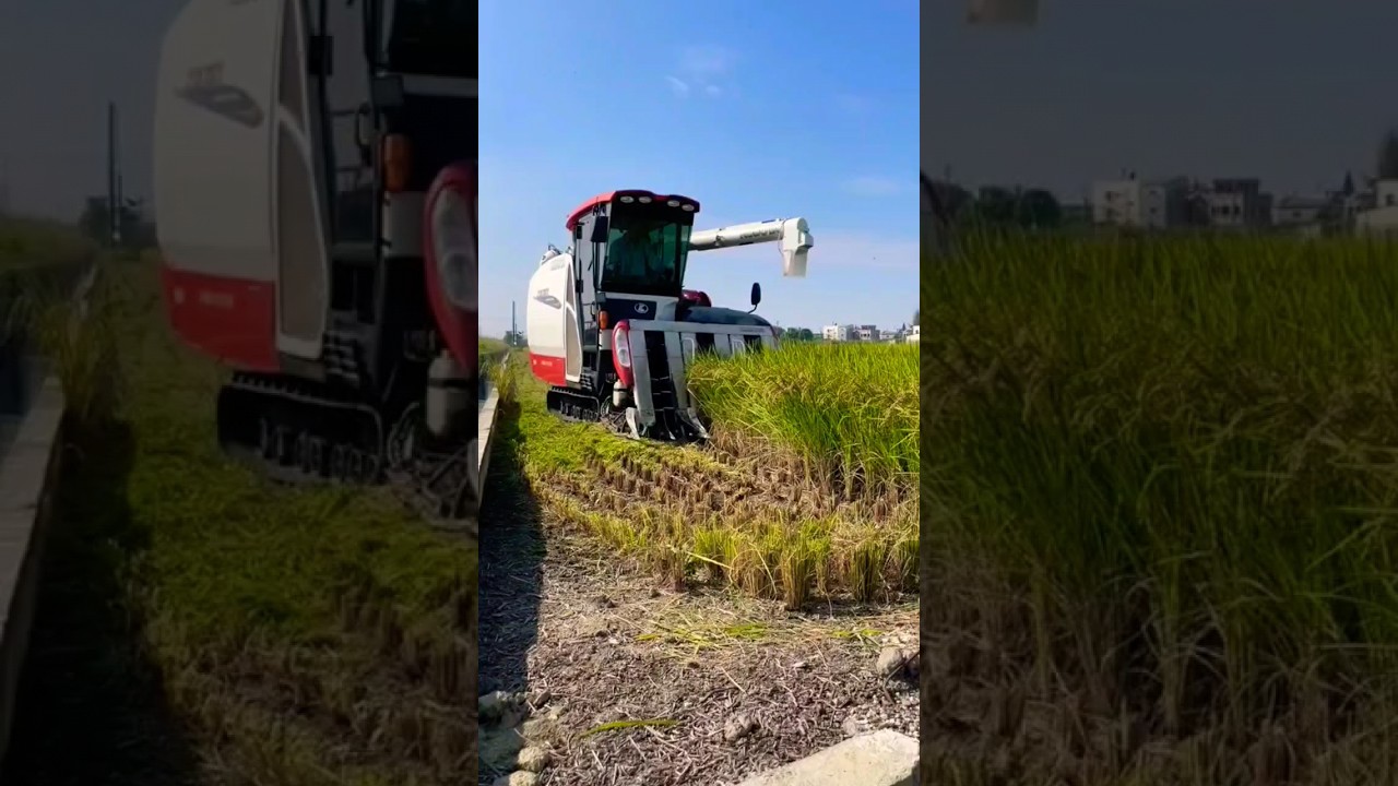 Kubota DR120 combine harvester I Combine harvester #kubota