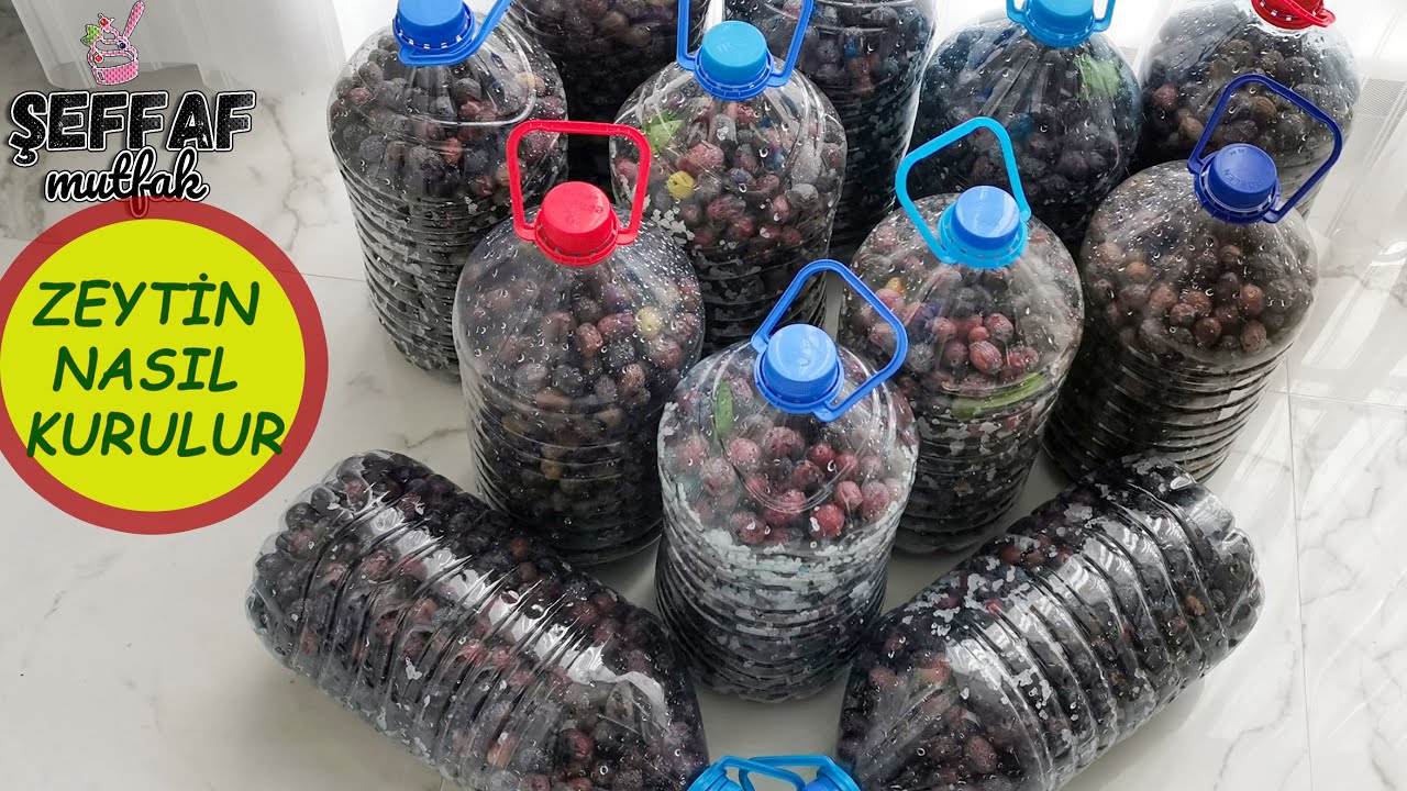 ETLİ ZEYTİN KURMAK İÇİN ARALIK AYINI BEKLEYİN ❗ AKLINIZA TAKILAN TÜM SORULARIN CEVAPLARI💯