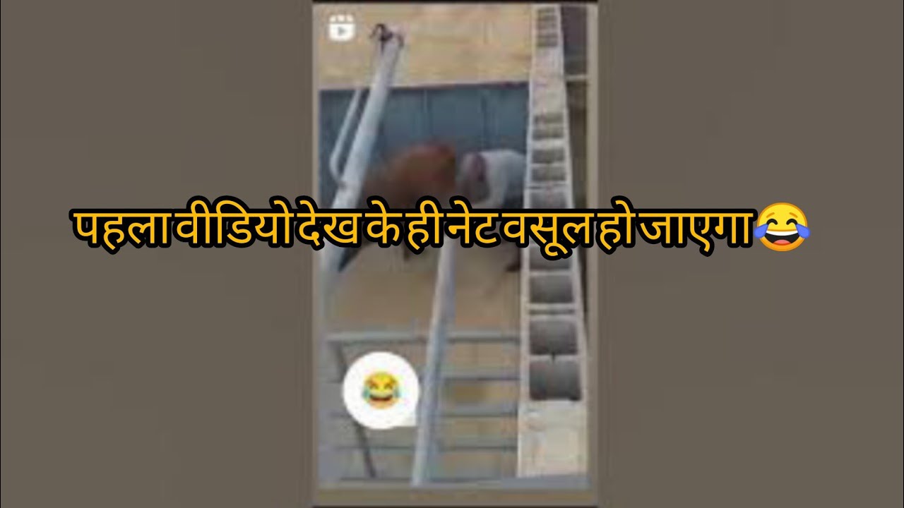 verry verry #funny #trending video 😂😂 #comedy #funnyvideo #memes #funnycompliation #funnydogs