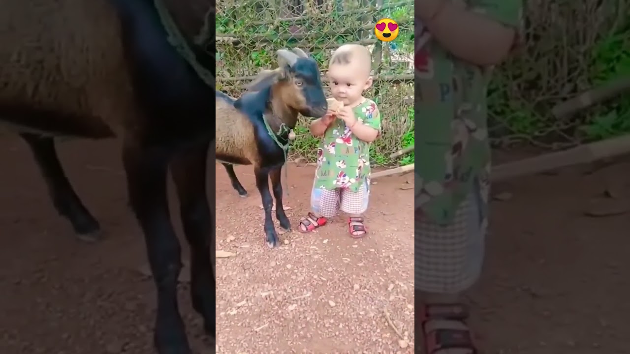 Cute