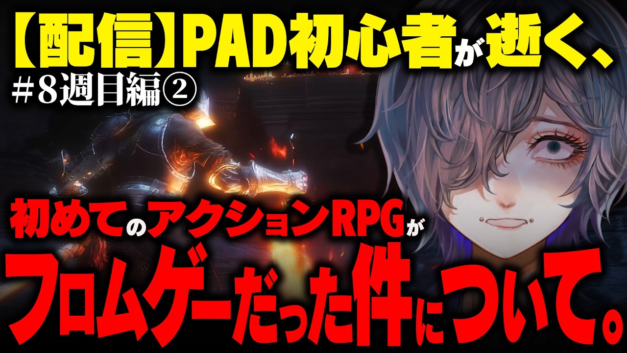 【配信】敵の強さがカンストした世界_Part2【DARK SOULS III】