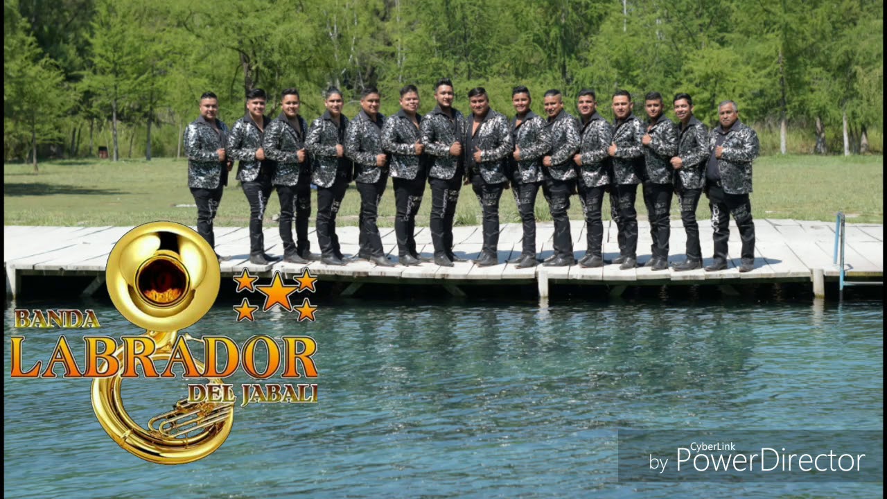 Bonito Rioverde - Banda Labrador del Jabalí