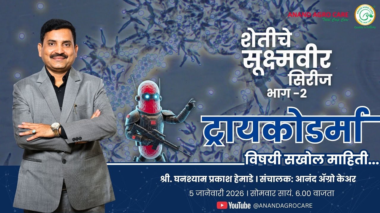 शेतीतील सुक्ष्मवीर : भाग २ - ट्रायकोडर्मा  | ट्रायकोडर्माचा वापर कसा करावा #trichoderma Application