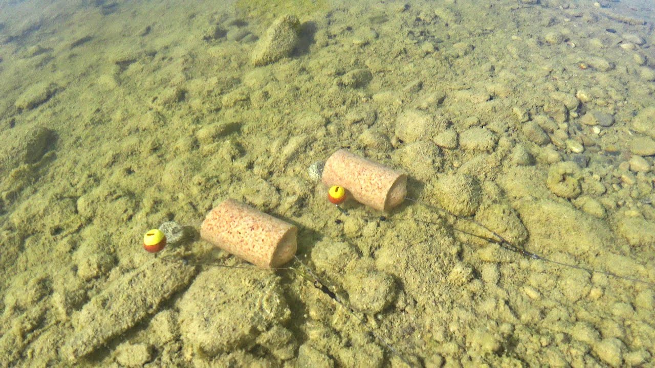 Angeln im M&auml;rz mit der Fischkeks-Montage