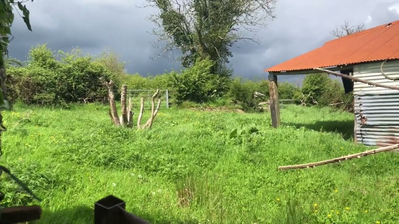Woods /Burke family Home.Drumdoo, Mohill, Ireland