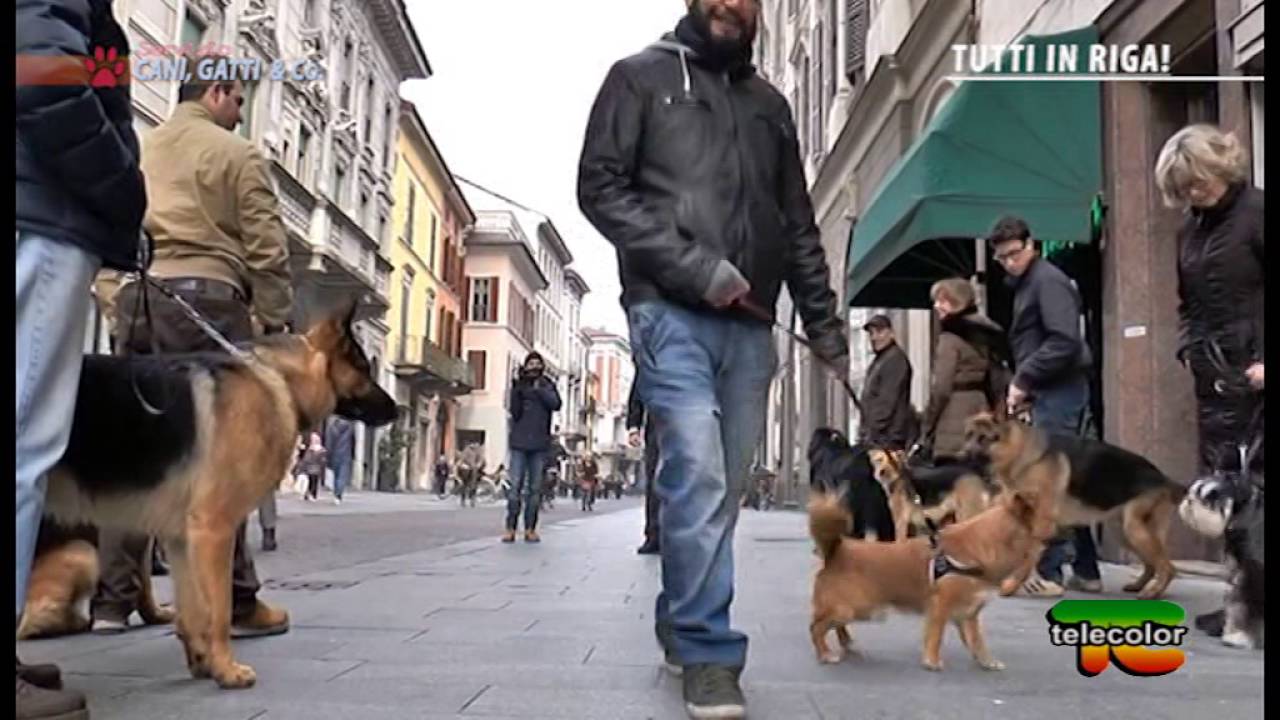 TUTTI IN RIGA con il Comandante Aldo Taietti: passeggiata e controllo in città