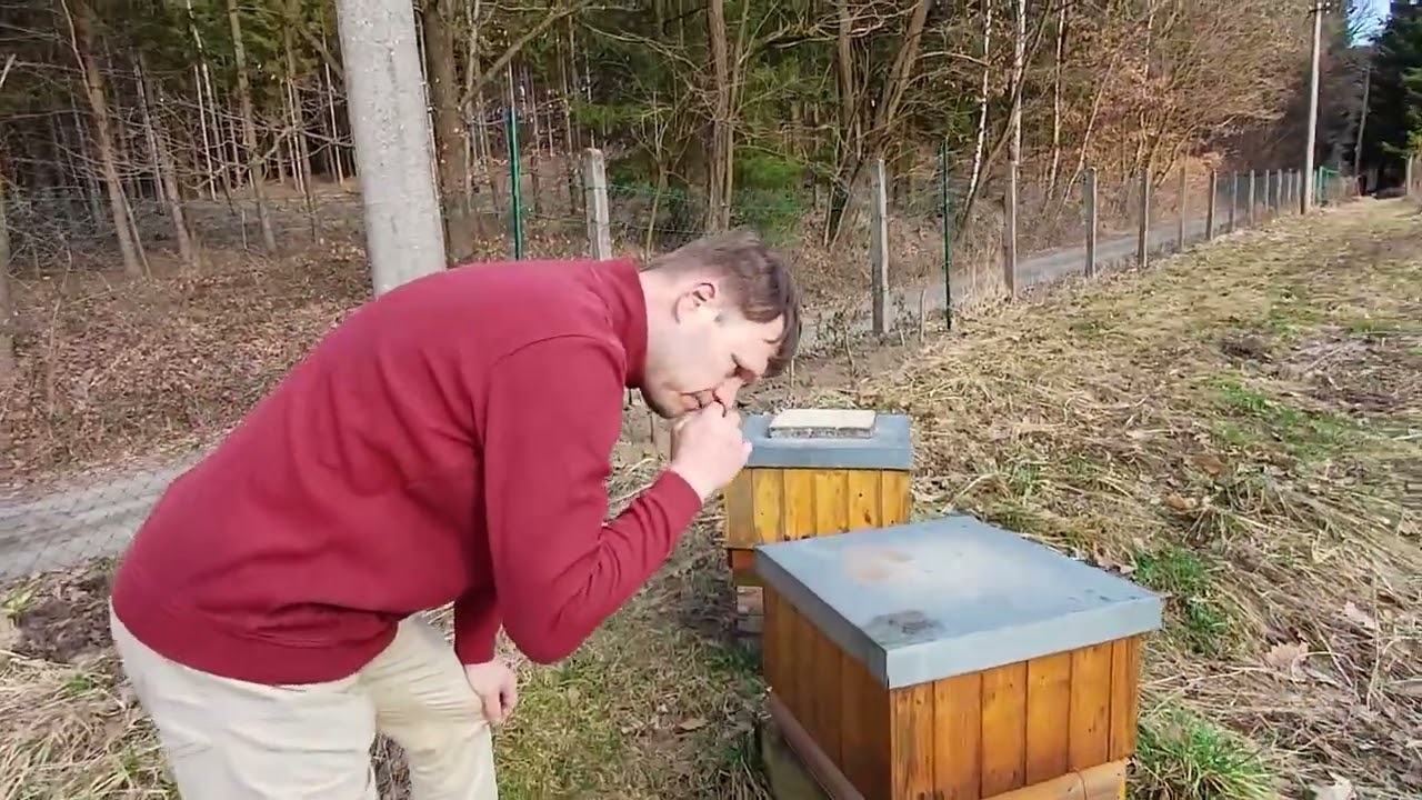 Co s roztoči na jaře?