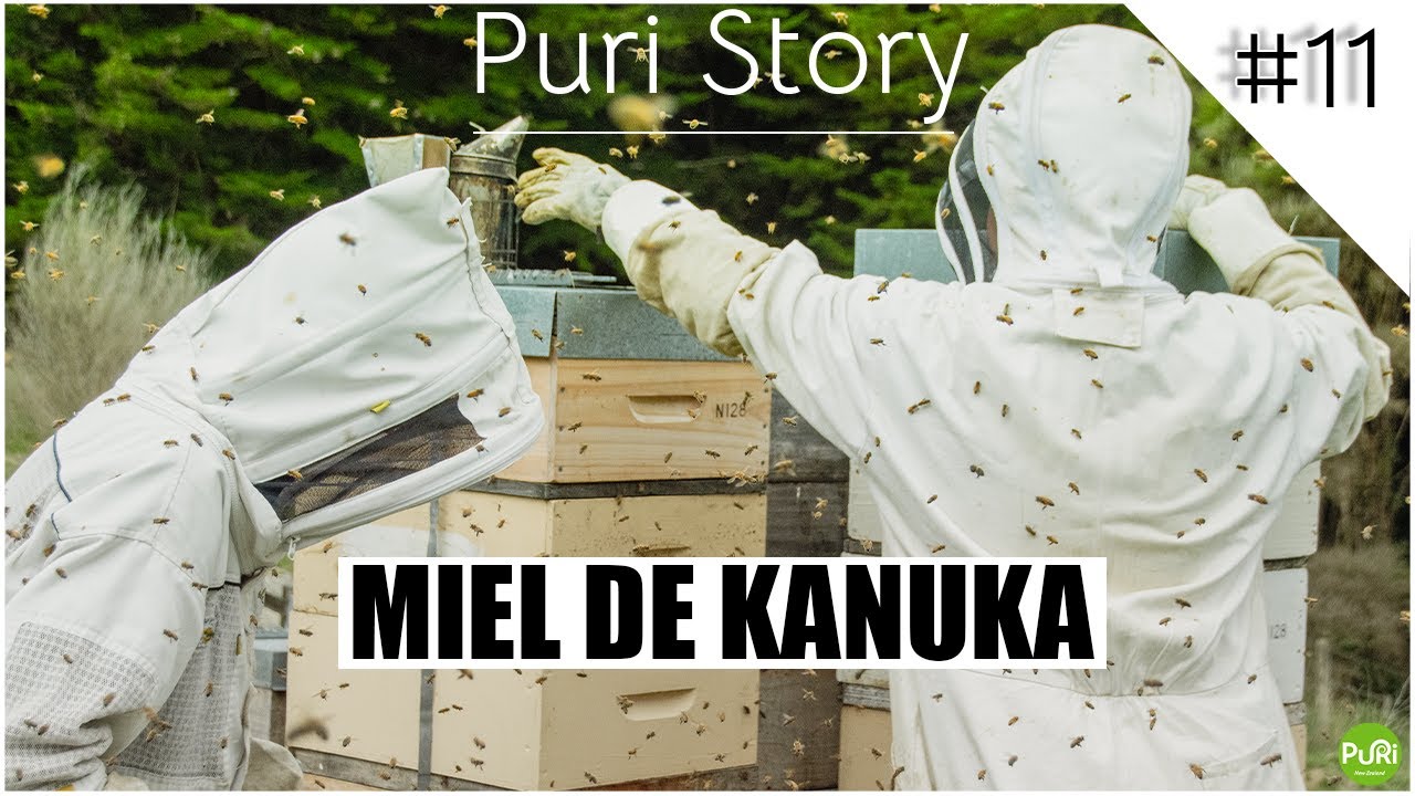 Puri Story #11 - Miel de Kanuka : Explications & Bienfaits