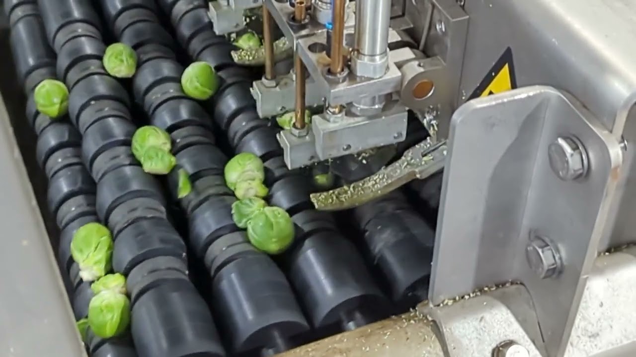 Tumoba retrimming machine