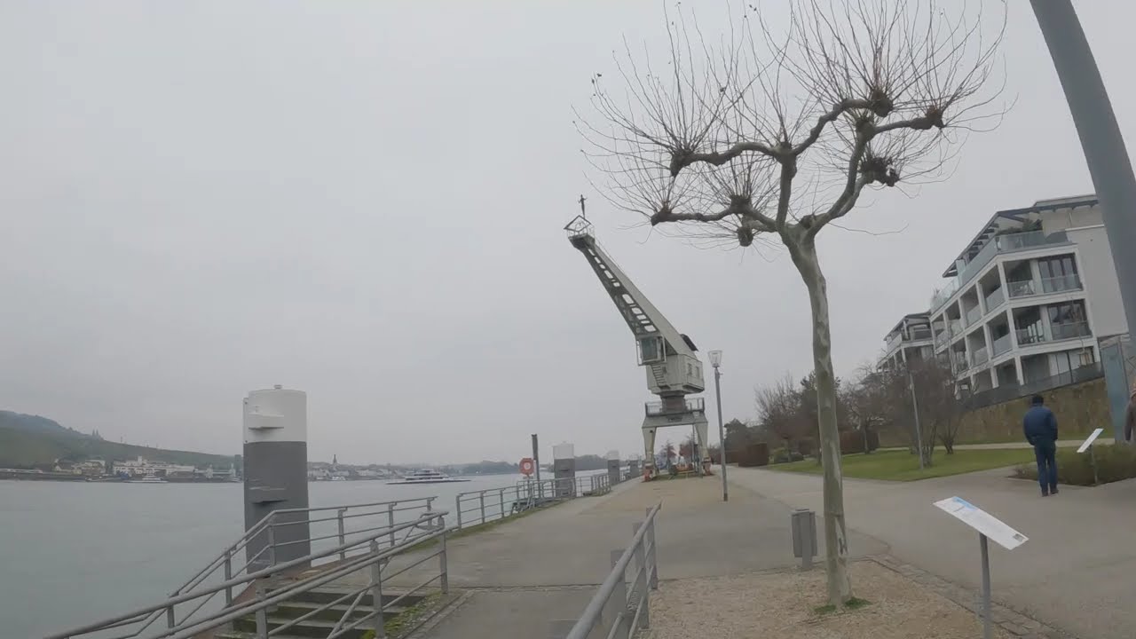 Discover Bingen am Rhein: A Scenic Walk Along the Rhine Promenade