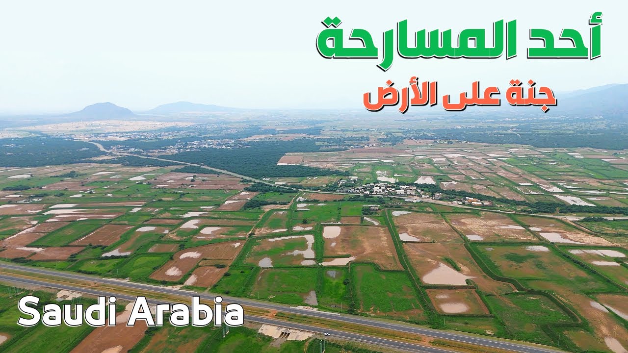 مناظر من أحد المسارحة جارة الوادي