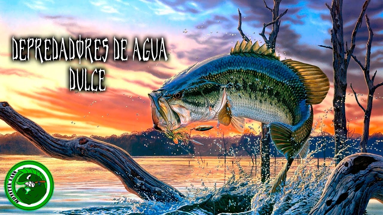 Depredadores de agua dulce.