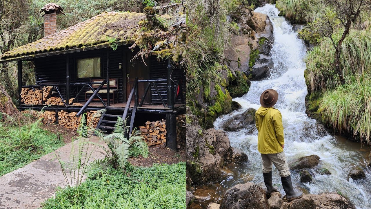 POLYLEPIS LODGE Y LA LEYENDA DE KURUPÍ, es un hotel ubicado en los páramos del cantón el Ángel.