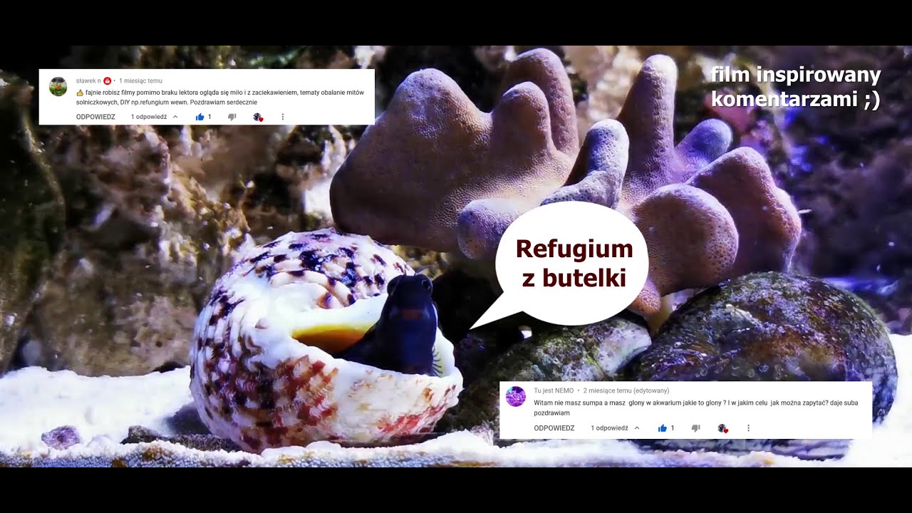 Akwariowe DIY - refugium wewnętrzne