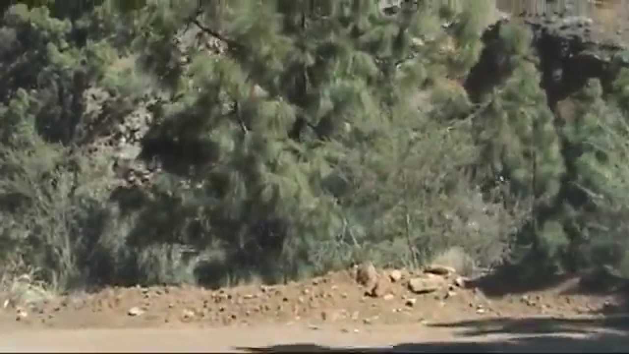 Tenerife, Paisaje Lunar, Tenerife