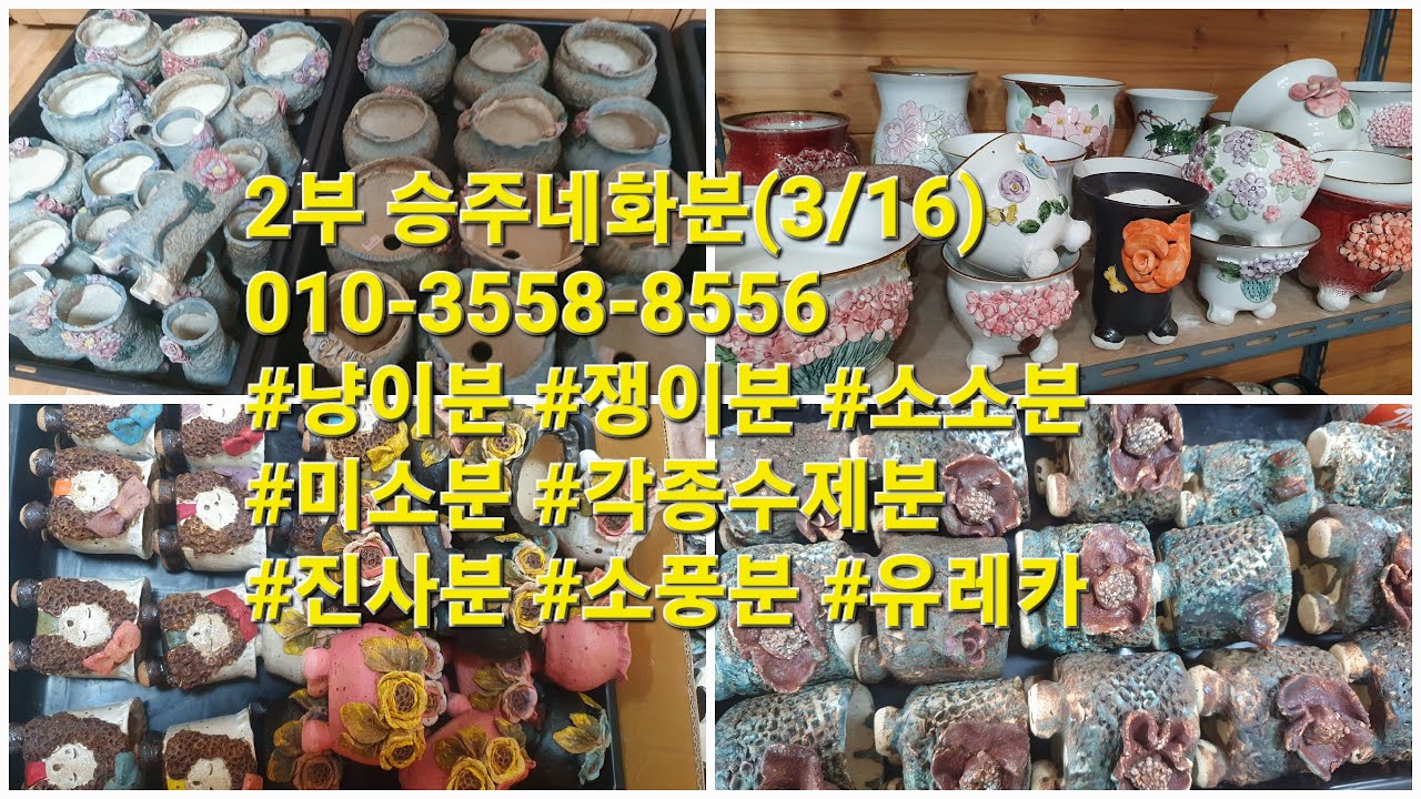 2부 승주네화분(3/16)010-3558-8556 #냥이분 #쟁이분 #소소분 #미소분 #각종수제분 #진사분 #소풍분 #유레카
