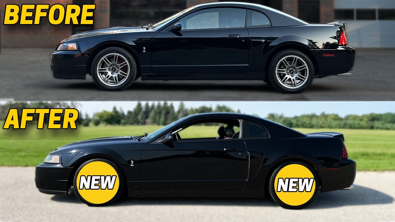 ULTIMATE Transformation on my CHEAP Terminator Cobra