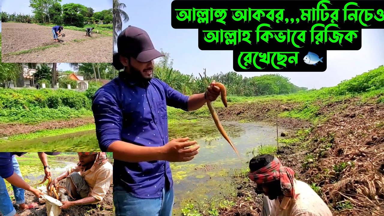 আল্লাহু আকবর,,,মাটির নিচেও আল্লাহ কিভাবে রিজিক রেখেছেন 🐟