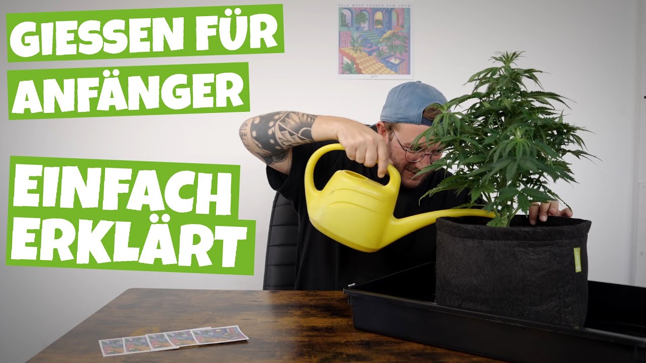 Gie&szlig;en f&uuml;r GROW Anf&auml;nger | Wie viel Wasser brauchen meine Pflanzen ? | so einfach wie m&ouml;glich Teil 3