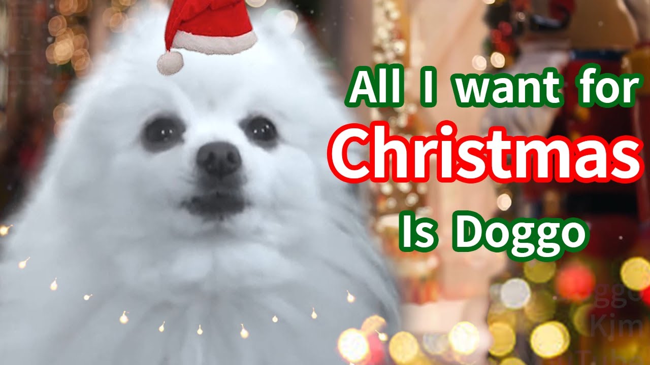 크리스마스 개롤 (All I Want For Christmas Is You)