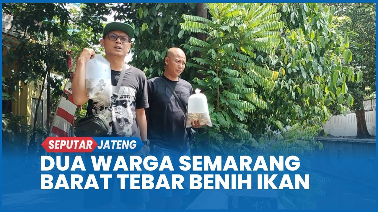 Sudah Ratusan Titik Ditebari Ikan, Cerita Sandy Petiz dan Ali Cuplis Rawat Sungai Kota Semarang