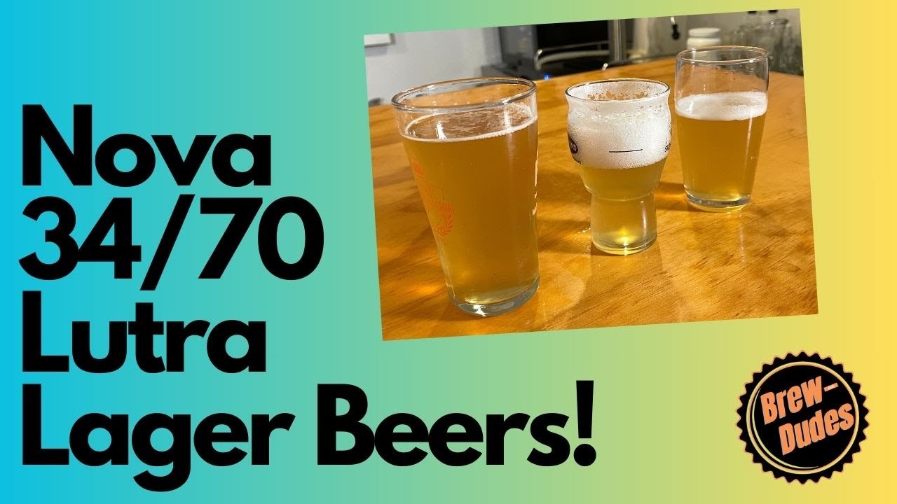 Сравнение сухих дрожжей NovaLager, W-34/70 и Lutra Kveik!