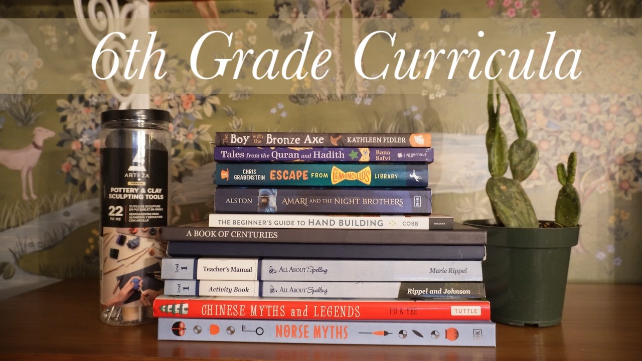 6th grade Homeschool Curriculum Choices | What We are Using This Year