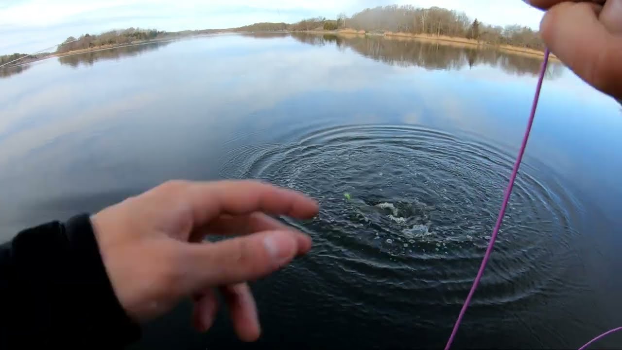 Flugfiske efter Gädda i Blekinge skärgård