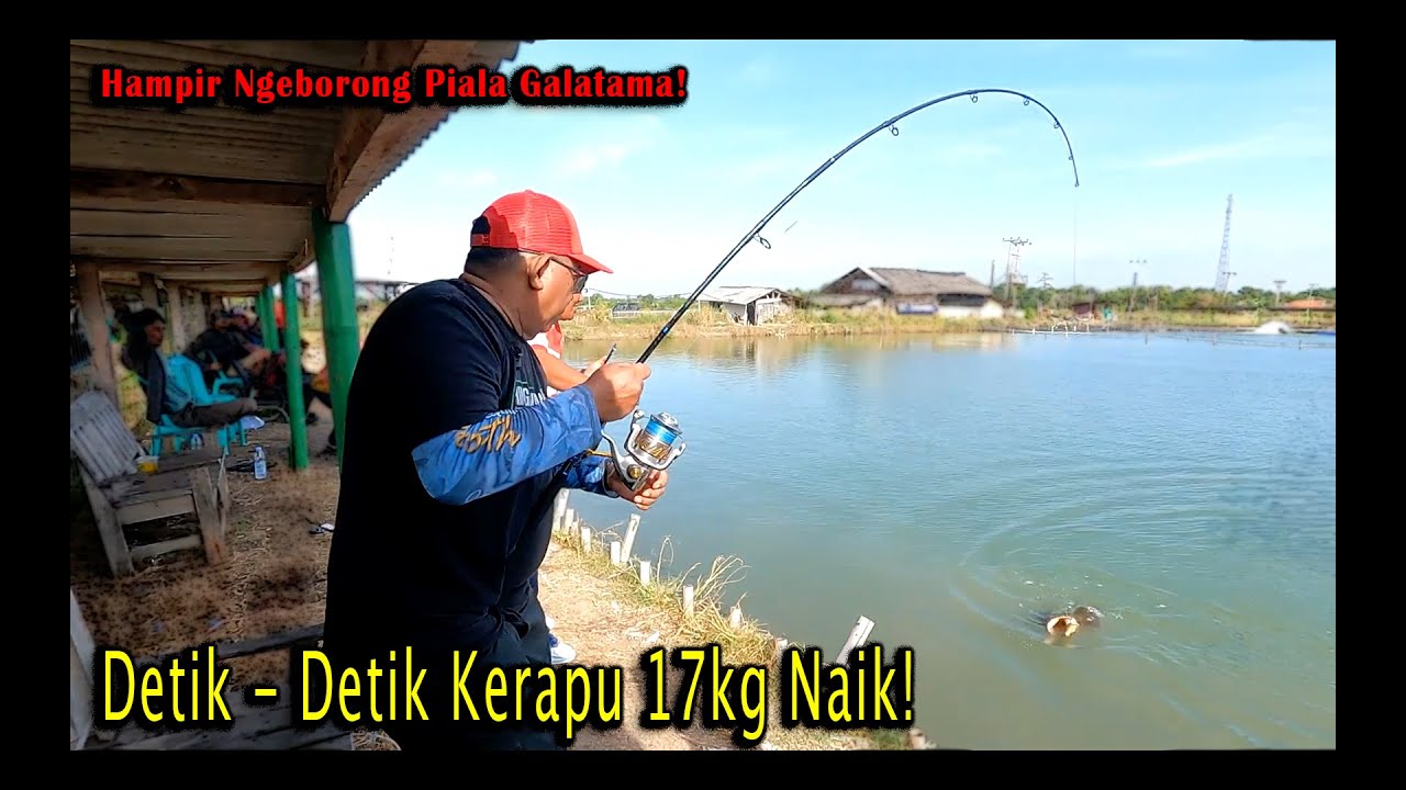 Hampir Borong juara di Galatama 17an di Siakap PU #doamancing #fishing #duditwidodo #mancingmania