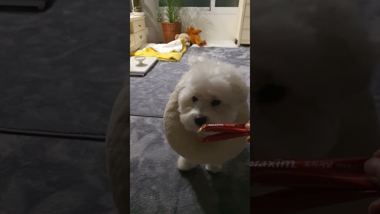 방가워요 1월14일 아침