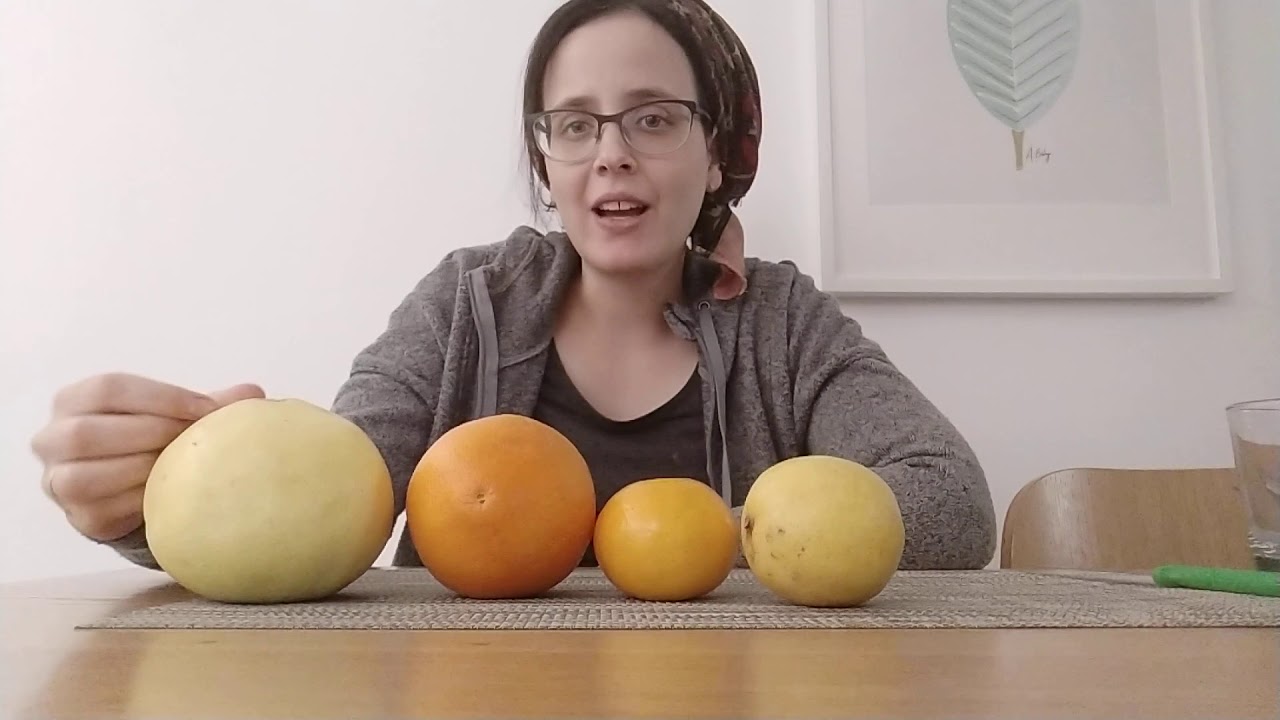 פירות הדר