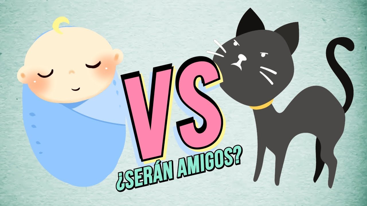 PRESENTACIÓN entre GATOS y BEBÉS fácil | 👶🆚😼 ¿Por qué tu gato NO DEBE dormir con el BEBÉ?