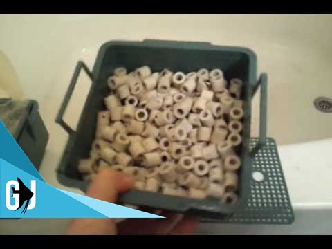#84: How I Configure my Rena XP3 Filters for Turtles - Fan Friday