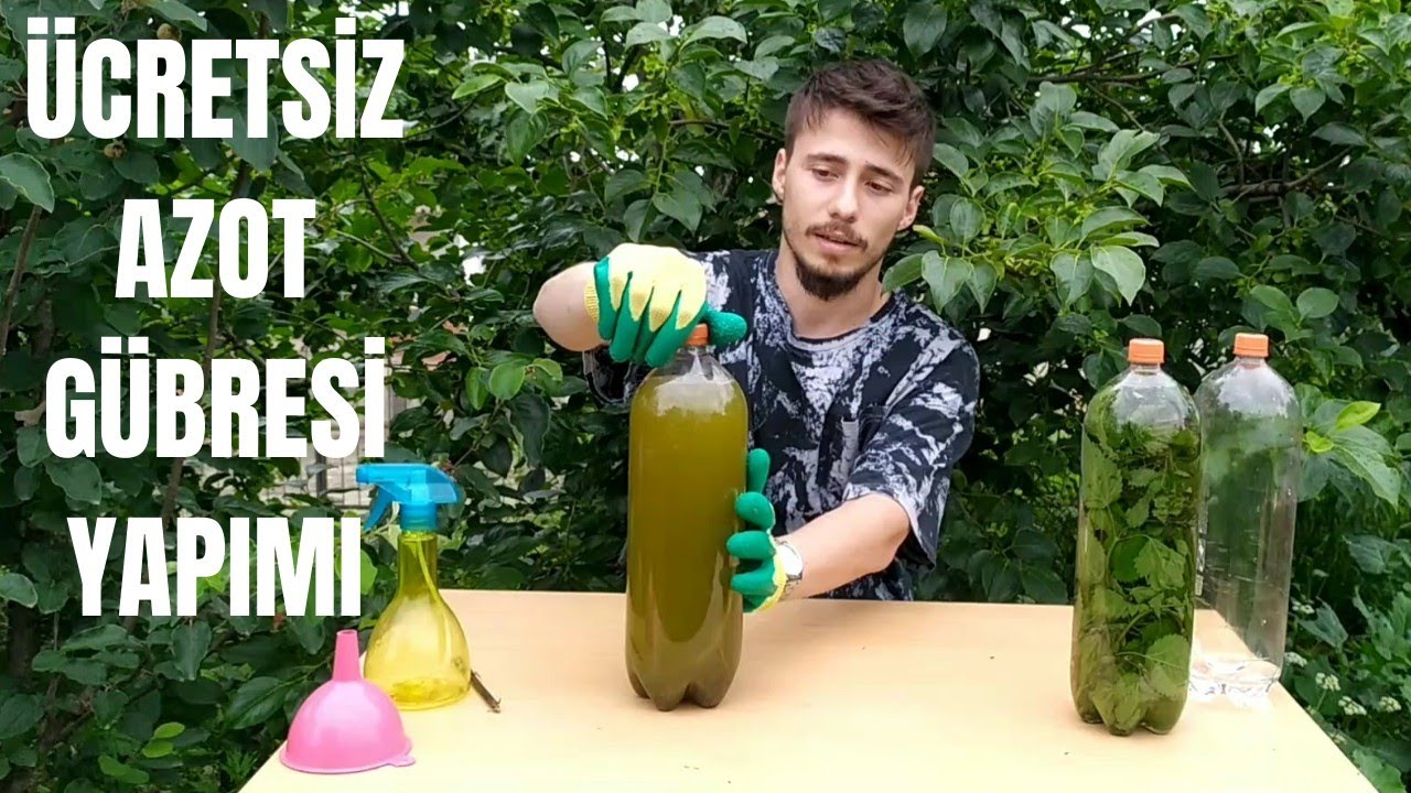 Isırgan Otu ile Azot Gübresi Nasıl Yapılır ?
