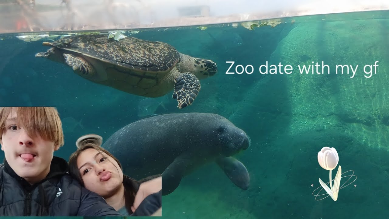 A zoo date with my gf (amazing animals) 