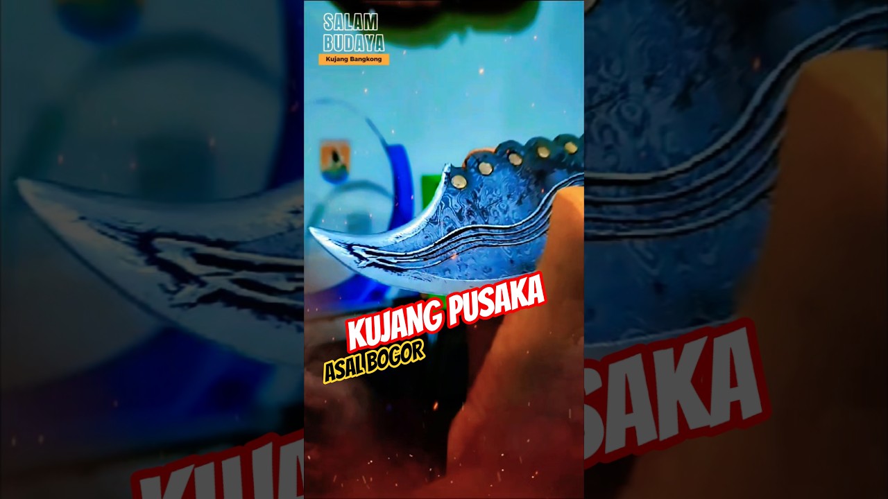 SALAM BUDAYA 🔺 KUJANG