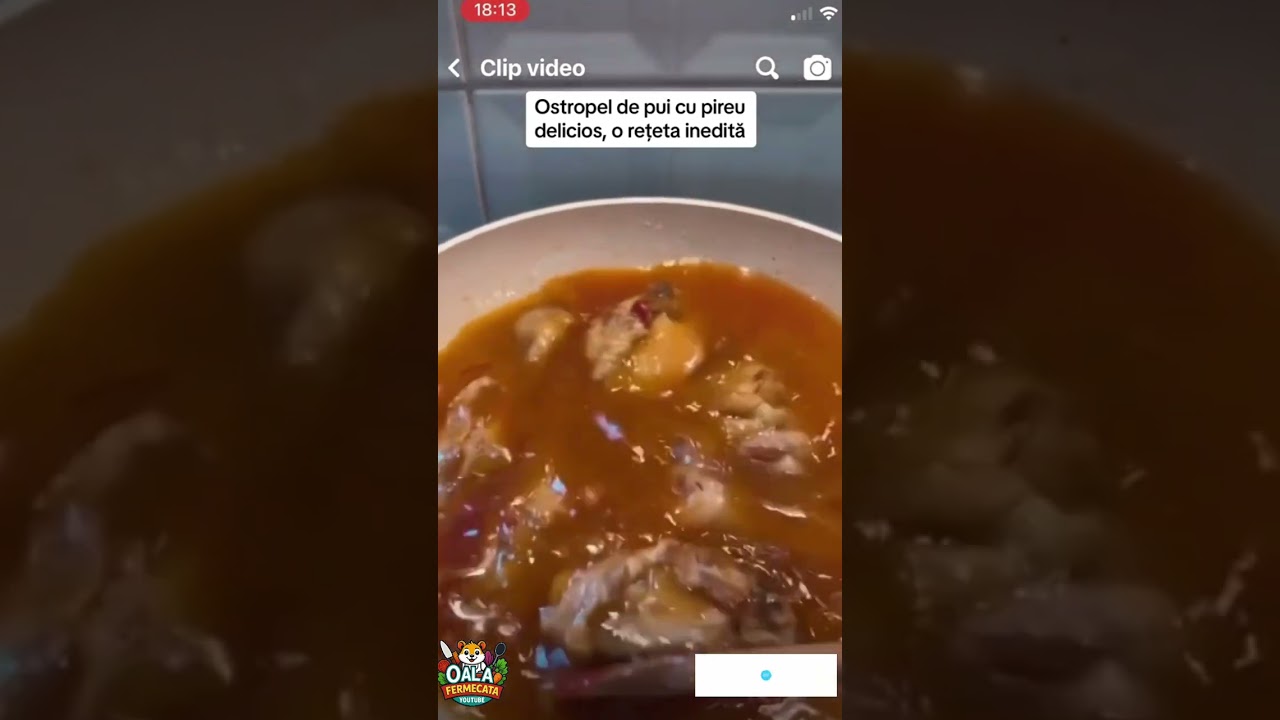 GABRIELA CRISTEA GATIM OSTROPEL DE PUI 😋