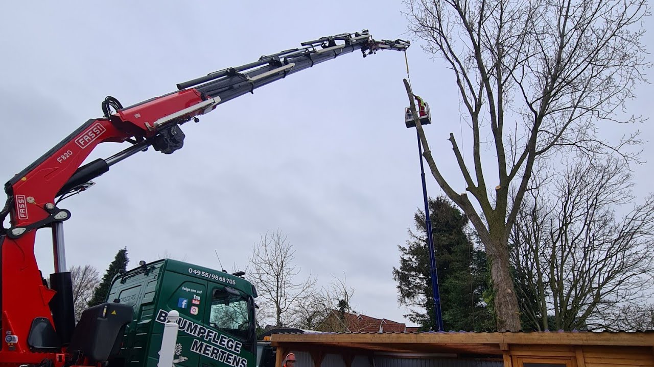 Baum gefällt 🫡-Dach zerstört😔..Fehler passieren?Oder zuviel gewollt?tree fail!treework going wrong.