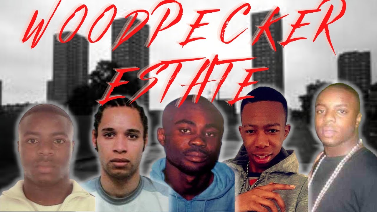 THE NOTORIOUS WOODPECKER ESTATE MURDERS NEW CROSS