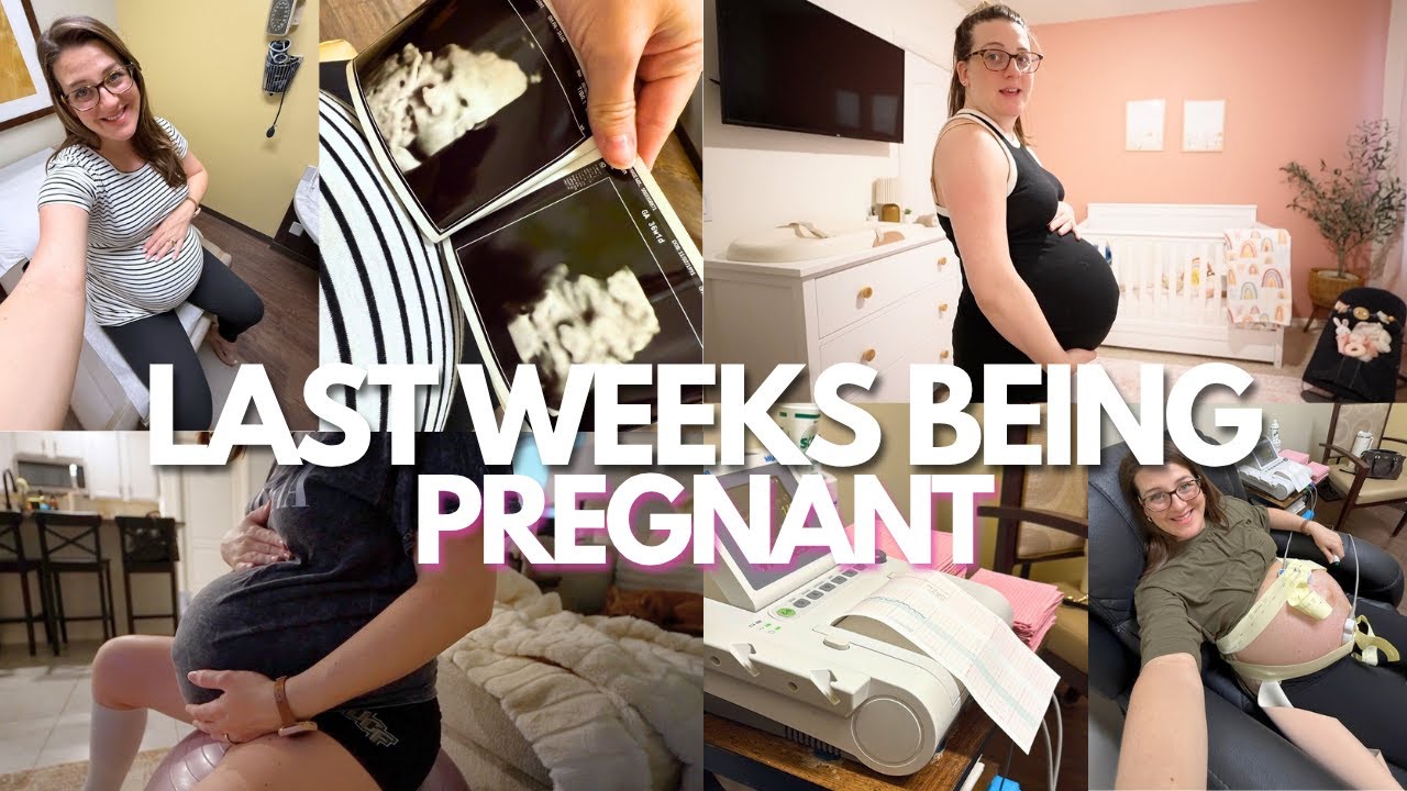 35–38 недель беременности🤰 | Запись на прием, новости о животе и подготовка к рождению ребенка!
